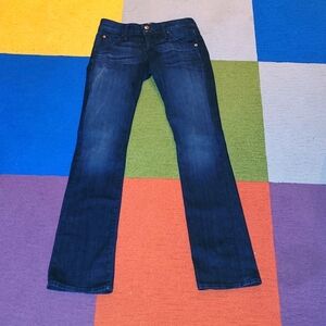 Hudson Denim Jeans Straight Leg Dark Blue Wash Low Rise Size 27
